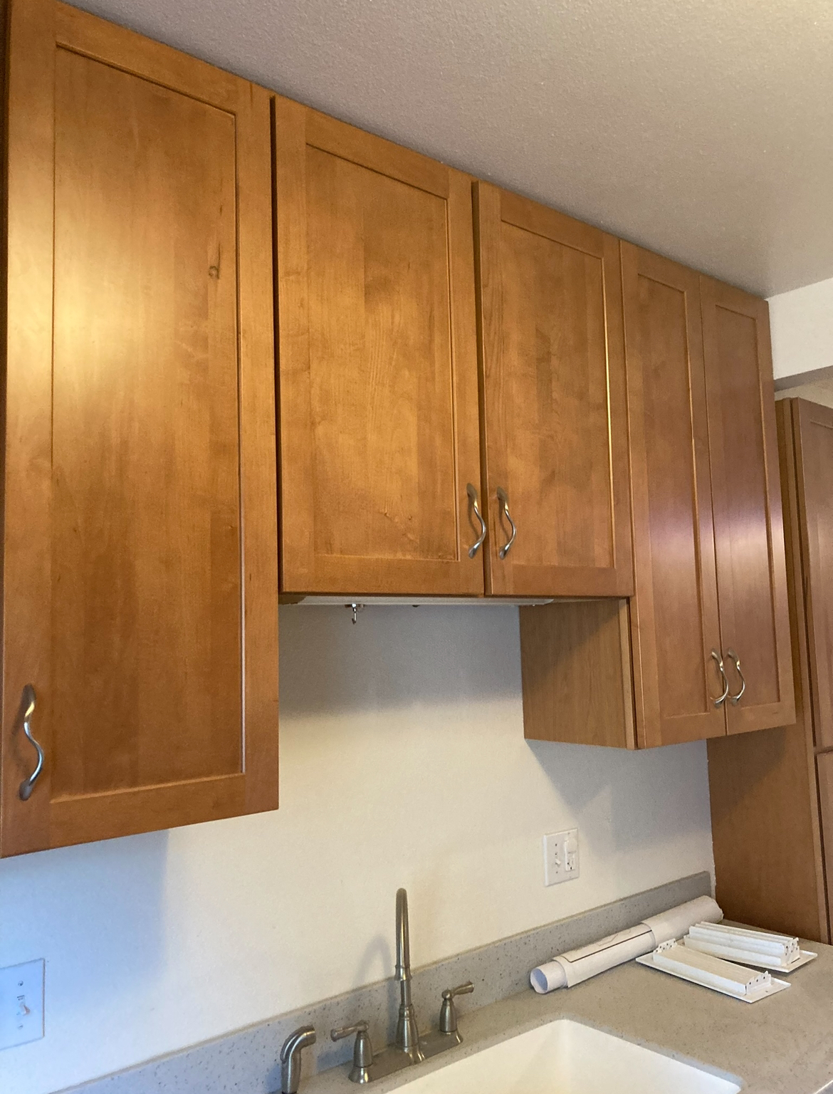 Specialty and commercial painting
