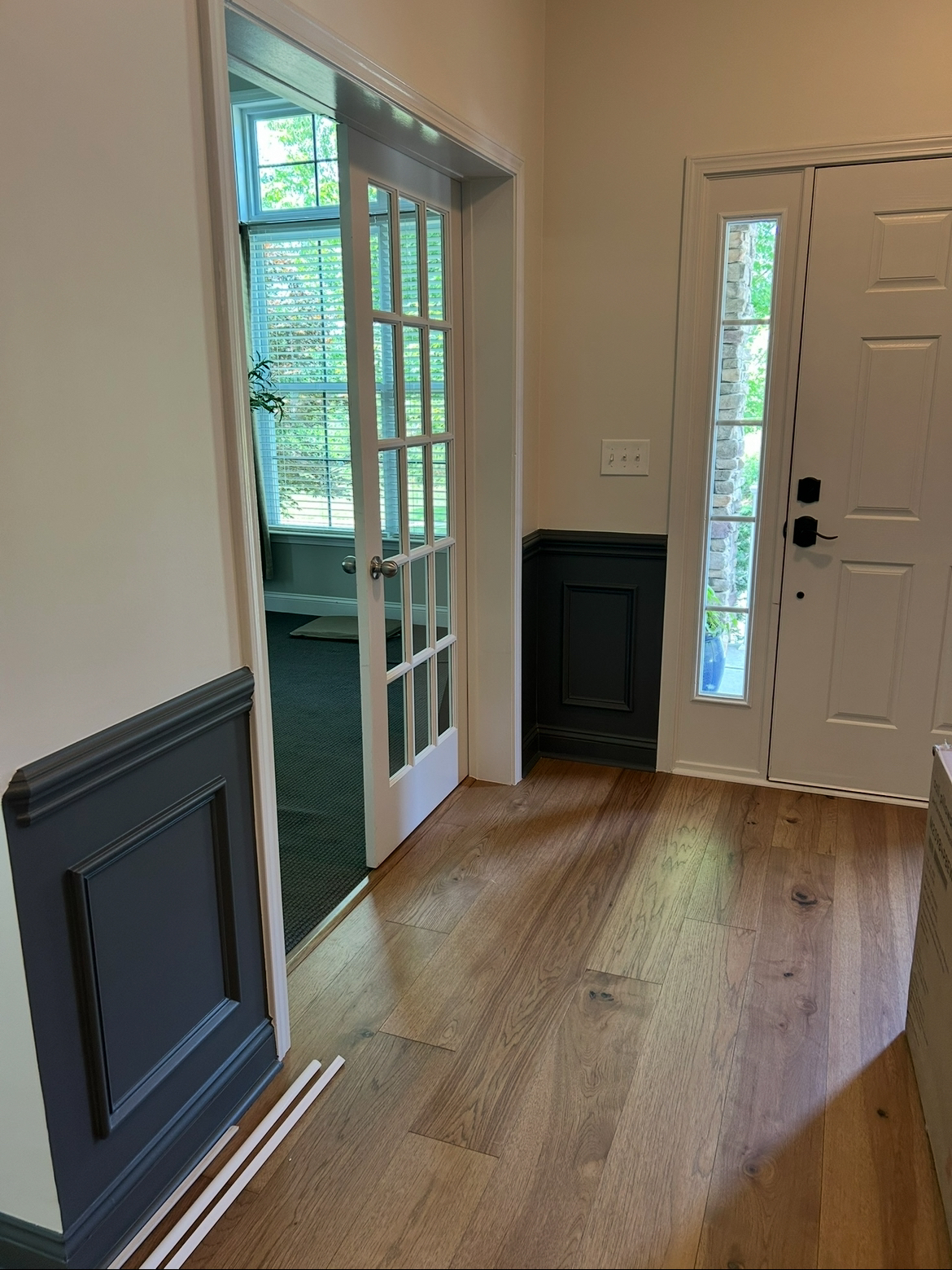 Interior painting project